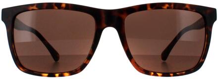 Square Unisex Schildpad Bruin SB2201