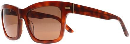 Square Womens Shiny Classic Havana Mineral Polarized Drivers Winona Bruin