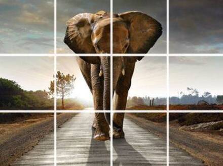 Squares fotomeerluik 63x159 cm