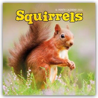 Squirrels Square Wall Sunday Start Calen - Browntrout Wandkalender - Carousel Calendar
