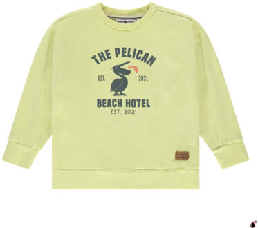 Ssa25207427 Geel - 116