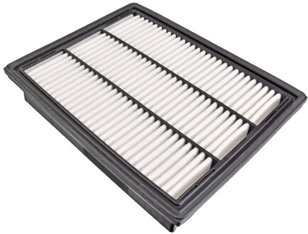 Ssangyong luchtfilter ADG022166