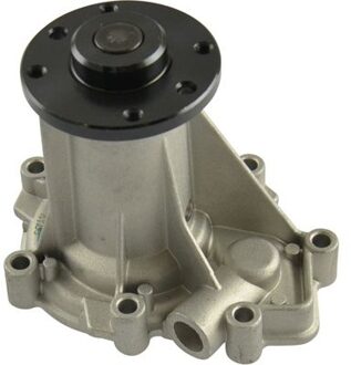 Ssangyong Waterpomp SW5005