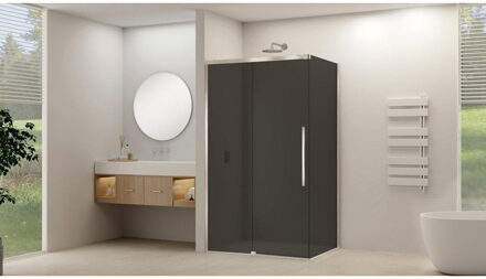 ST09 Schuifdeur tbv hoekcabine - 160x200cm - grijs rookglas - soft-close - RVS Geborsteld ST09350160GRBN