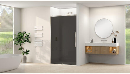 ST09 Schuifdeur vast deel - 157.5x200cm - grijs rookglas - soft-close - incl. RVS Geborsteld ST09300160GRBN