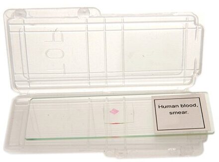 Staande Bloed Preparatı