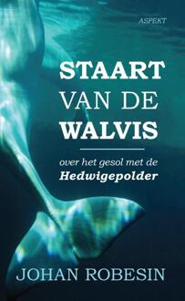 Staart van de Walvis - Boek Johan Robesin (9463381902)