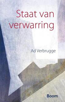 Staat van verwarring - Boek Ad Verbrugge (9461057016)