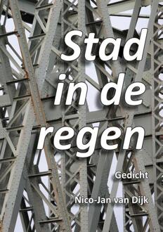 Stad in de regen. -  N.J. van Dijk (ISBN: 9789465105048)