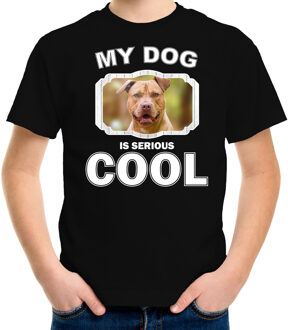 Staffordshire bull terrier honden t-shirt my dog is serious cool zwart - kinderen - Staffordshire bull terriers liefhebber cadeau shirt XL (158-164)