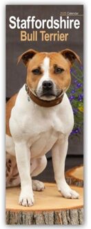 Staffordshire Bull Terrier Slim Calendar 2025 Dog Breed Slimline Calendar - 12 Month - - Avonside Publishing Ltd
