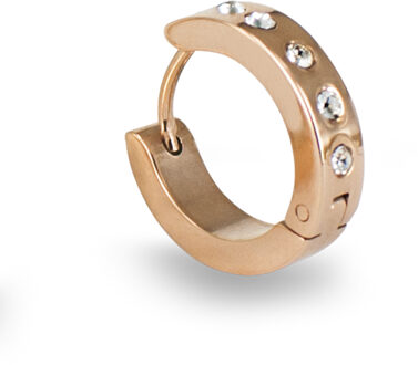 Stalen buis oorbellen met Swarovski kristallen I8-MPNB-ICH5 voor vrouwen Roze