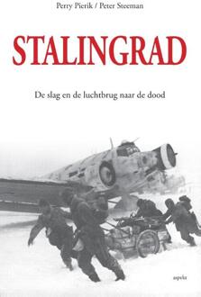Stalingrad - Boek Perry Pierik (9461533209)