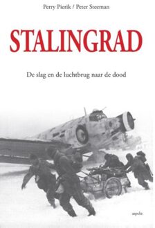 Stalingrad - Boek Perry Pierik (9461533209)