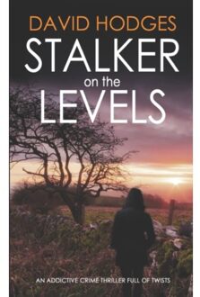 Stalker On The Levels An Addictive Crime Thriller Full Of Twists - Detective Kate Hamblin Mystery - David Hodges