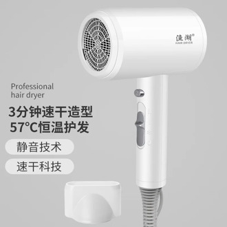 STALL STALL Online Celebrity Hammer Students Dormitory with a Blow Dryer Small Household Power Anion Hotel Electrical Hair Dryer