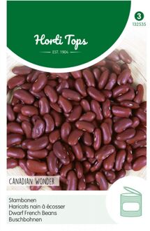 Stam- of struikbonen Canadian Wonder (Kidney) 15 gram Hortitops