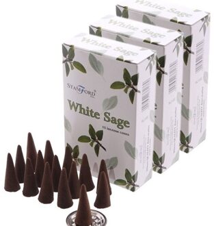 Stamford wierook kegeltjes witte salie geur - 45x - Lichaam in balans - Meditatie