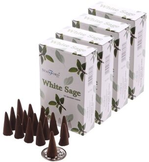 Stamford wierook kegeltjes witte salie geur - 60x - Lichaam in balans - Meditatie