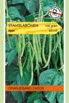 Stamslabonen Maxi Phaseolus vulgaris L. - Sla- of sperziebonen - 100 gram