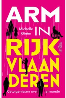 Standaard Uitgeverij - Algemeen Arm In Rijk Vlaanderen - Michelle Ginée