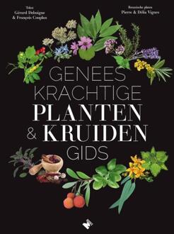 Standaard Uitgeverij - Algemeen Geneeskrachtige planten- & kruidengids - Boek Gérard Debuigne (9022335275)