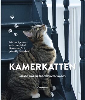 Standaard Uitgeverij - Algemeen Kamerkatten - (ISBN:9789022337820)