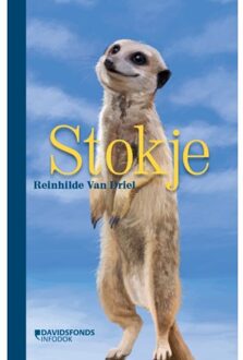 Standaard Uitgeverij - Algemeen Stokje - Reinhilde van Driel