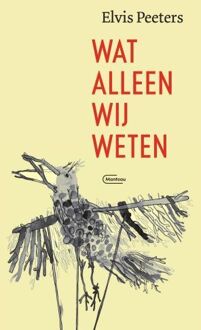 Standaard Uitgeverij - Algemeen Wat Alleen Wij Weten - Elvis Peeters