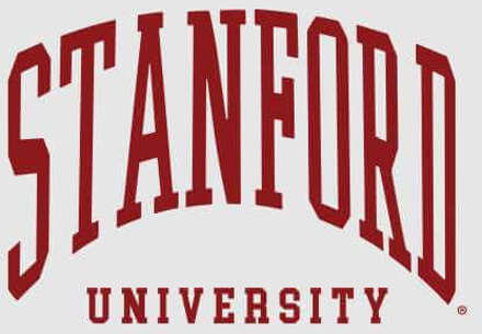 Stanford Gray Tee Men's T-Shirt - Grey - XL Grijs