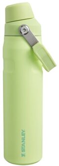 Stanley The Aerolight IceFlow Water Bottle Fast Flow 0.6L citron Groen - H 28.4 x B 10 x D 8