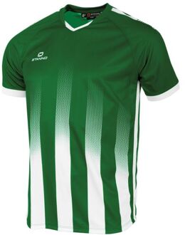 Stanno Vivid Shirt Groen - 164