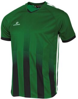 Stanno Vivid Shirt Groen - 3XL