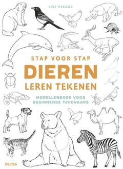 Stap voor stap dieren leren tekenen