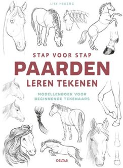 Stap voor stap paarden leren tekenen