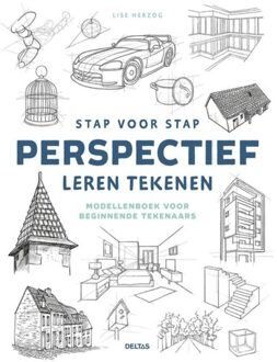 Stap voor stap perspectief leren tekenen - (ISBN:9789044762617)
