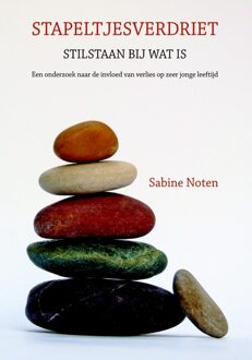 Stapeltjesverdriet - eBook Sabine Noten (9077179259)