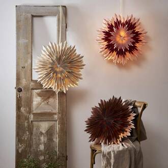 Star Trading Decoratie ster Ice, papier, zonder fitting bruin