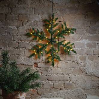 Star Trading LED buitendecoratie Snowflake, op batterijen helder