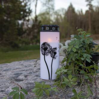 Star Trading LED graflicht Paardenbloem, 21 cm wit/zwart kunststof batterij wit, zwart