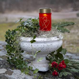 Star Trading LED grondspies lamp Hartig, rood/goud, 12 cm kunststof rood, goud