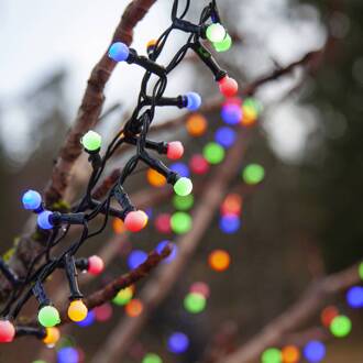 Star Trading LED lichtketting Berry Mini met timerfunctie bont zwart, bontgekleurd