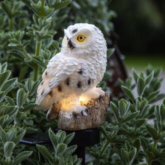 Star Trading LED solarlamp Owl met aardspies wit, zwart