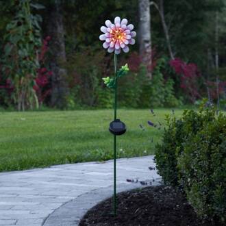 Star Trading LED solarlamp pink Daisy in bloemen-vorm zwart, groen, roze