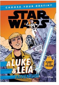 Star Wars a Luke & Leia Adventure