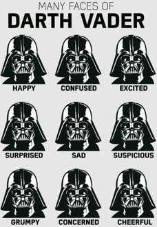 Star Wars Many Faces Of Darth Vader Hoodie - Grijs - L