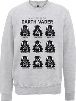 Star Wars Many Faces Of Darth Vader Trui - Grijs - L