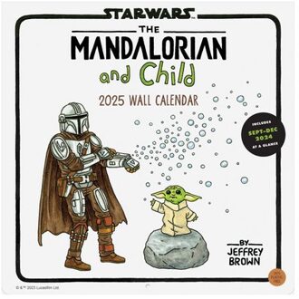 Star Wars The Mandalorian And Child 2025 Wall Calendar - Brown, Jeffrey