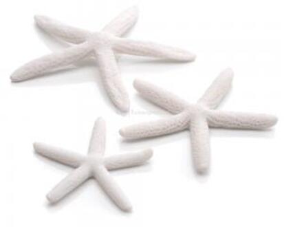 Starfish - Aquarium Decoratie - Wit - 3 stuks