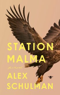 Station Malma - Alex Schulman - ebook